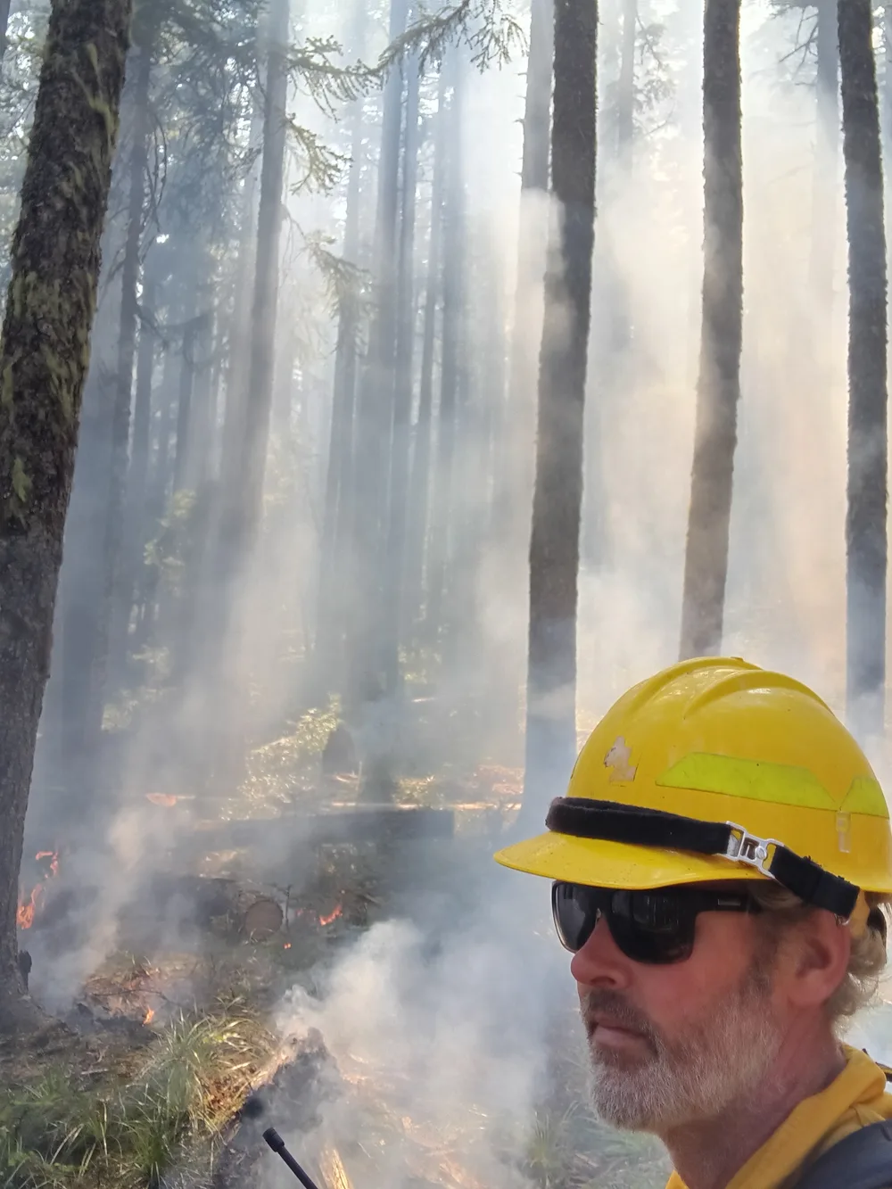 Stuart Williams, Parkwoods owner and certified arborist, working on the fireline in a yellow hardhat